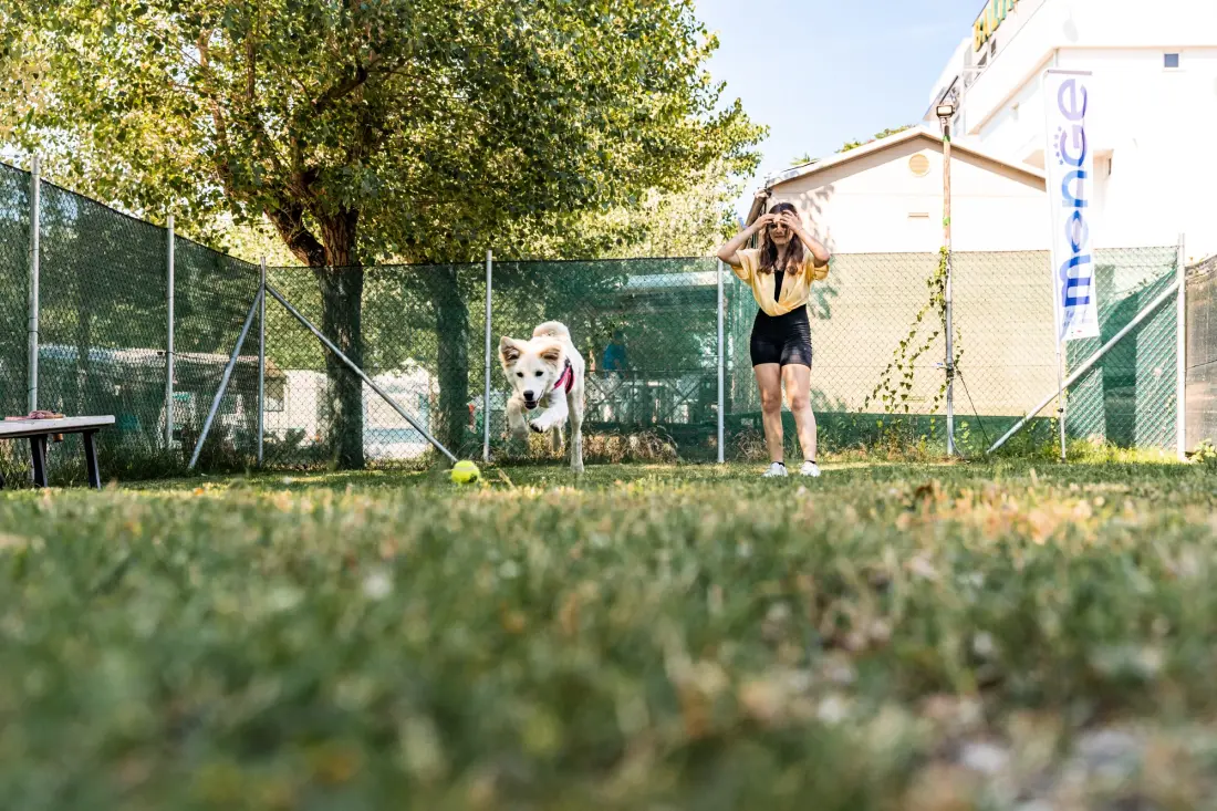 Club del Sole Riccione Easy Camping Village 3 Csillagok★★★