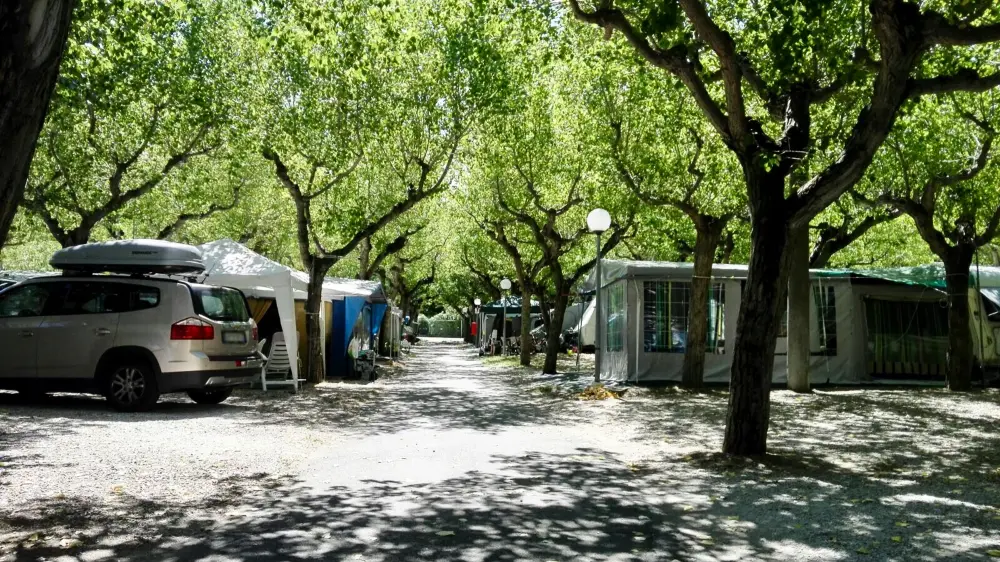 Camping International Riccione Camping Village 3 Stars★★★