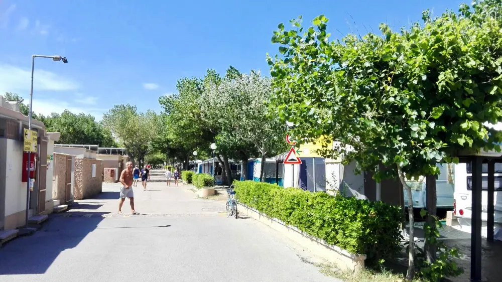 Camping International Riccione Camping Village 3 Stars★★★