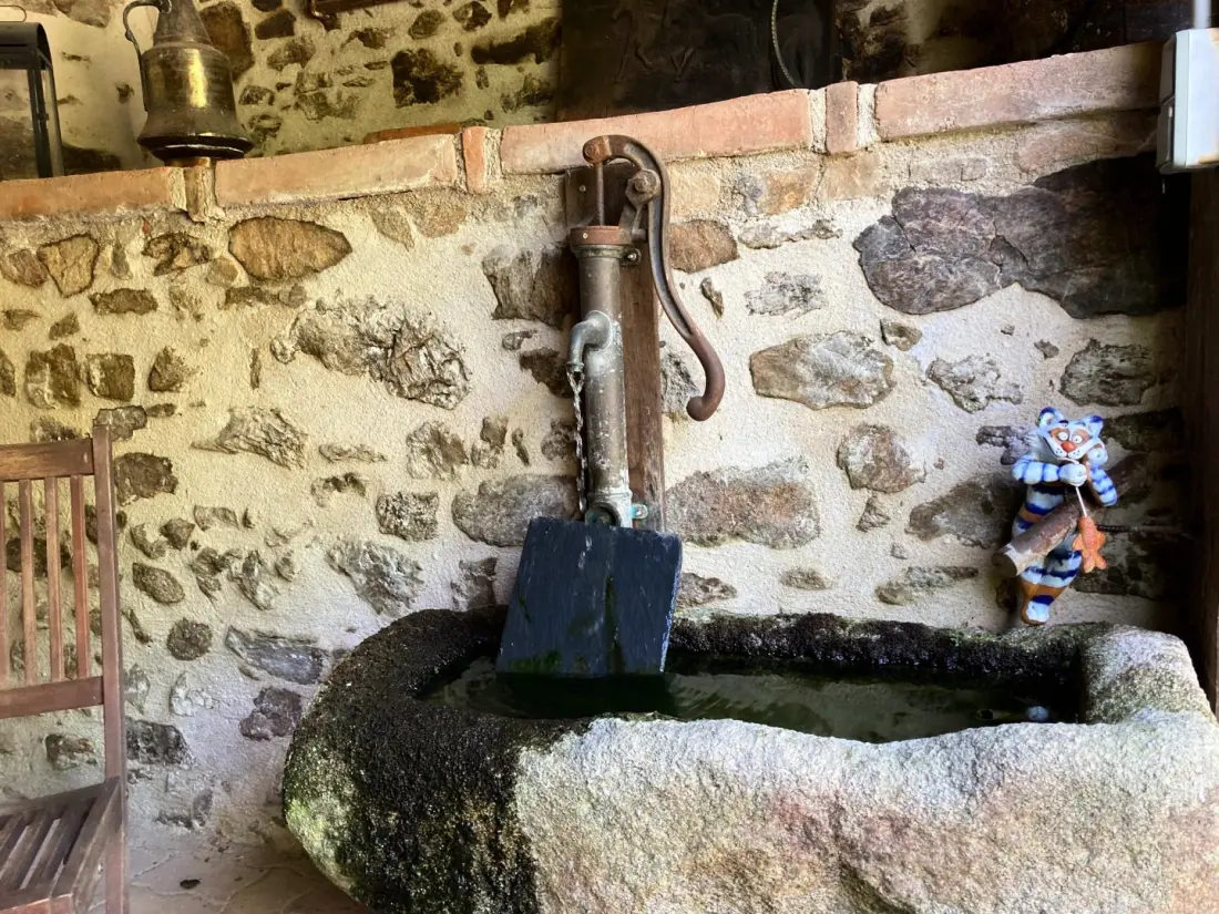 Gîte de France De kat die op 3 oren vist
