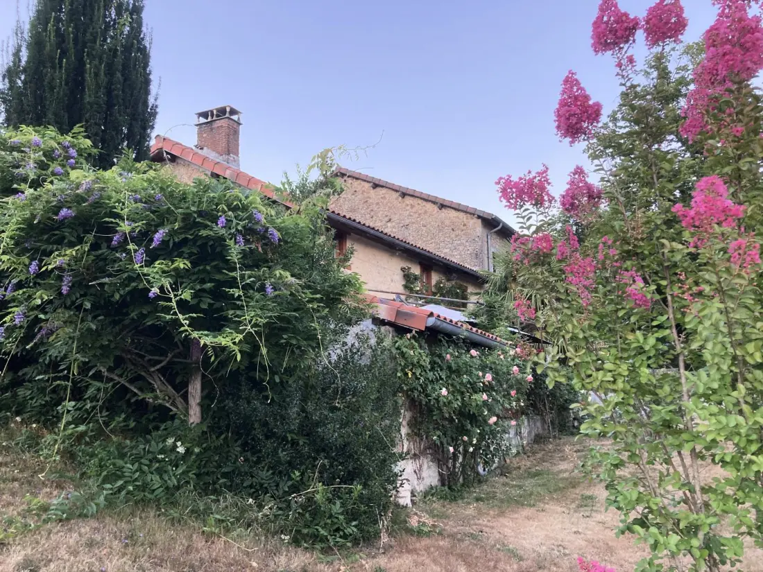 Gîte de France De kat die op 3 oren vist