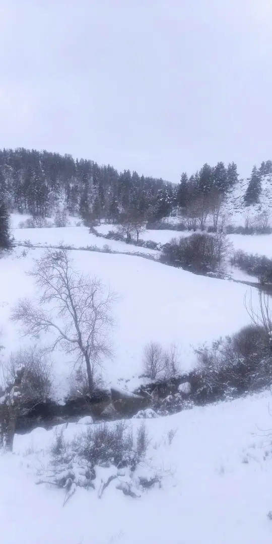 Gîte de France Lou vachou 4 Ähren