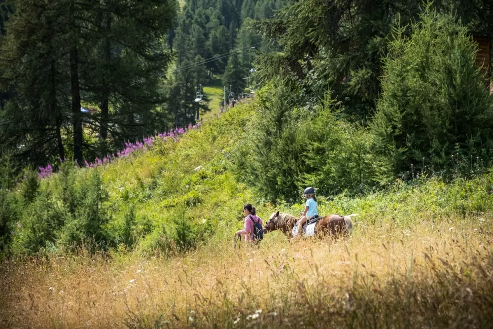 Residentie Club MMV Le Silvana 4 Sterren★★★★