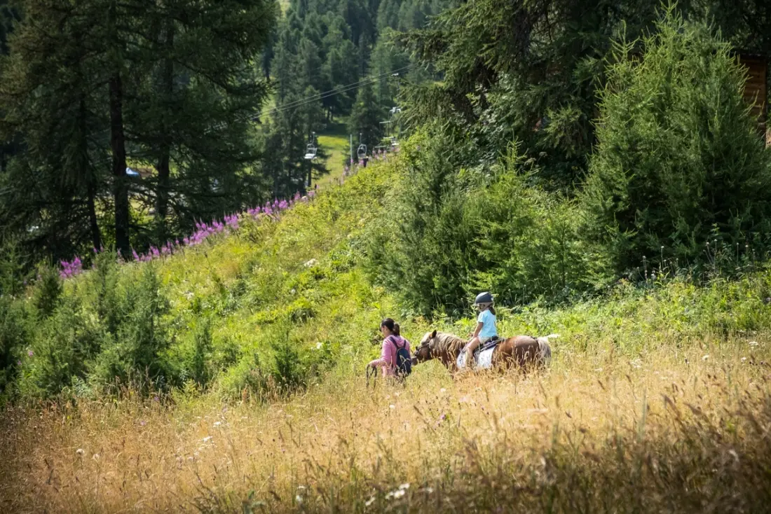 Residentie Club MMV Le Silvana 4 Sterren★★★★