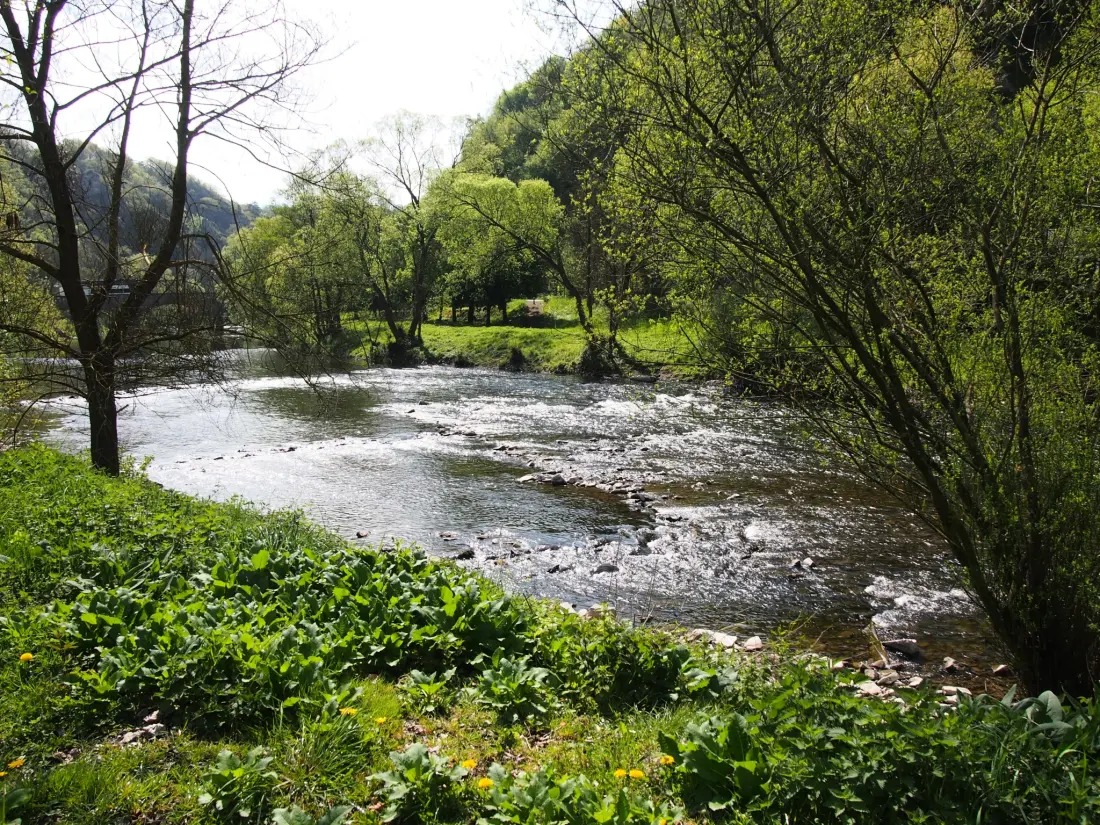 1-ouder Camping Au Bord de l'Ourthe 2 Sterne★★