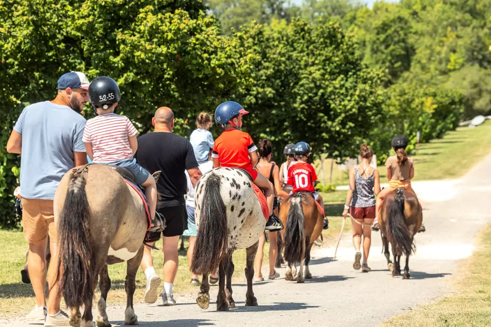Campsite Château de Fonrives