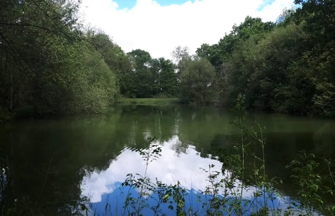 Camping Bergougne 3 Sterne★★★