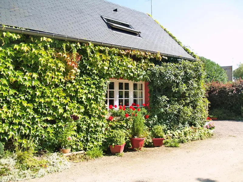 Gîte de France Gîtes de france® - a cecilève 2 fül