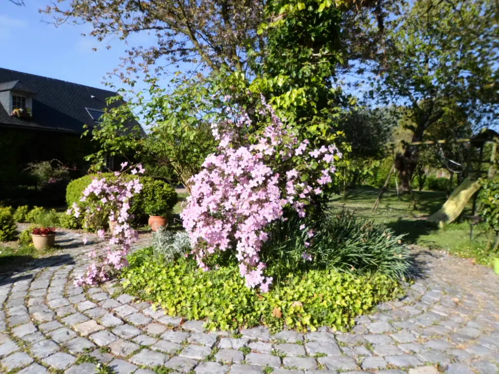 Gîte de France Gîtes de france® - a cecilève 2 fül
