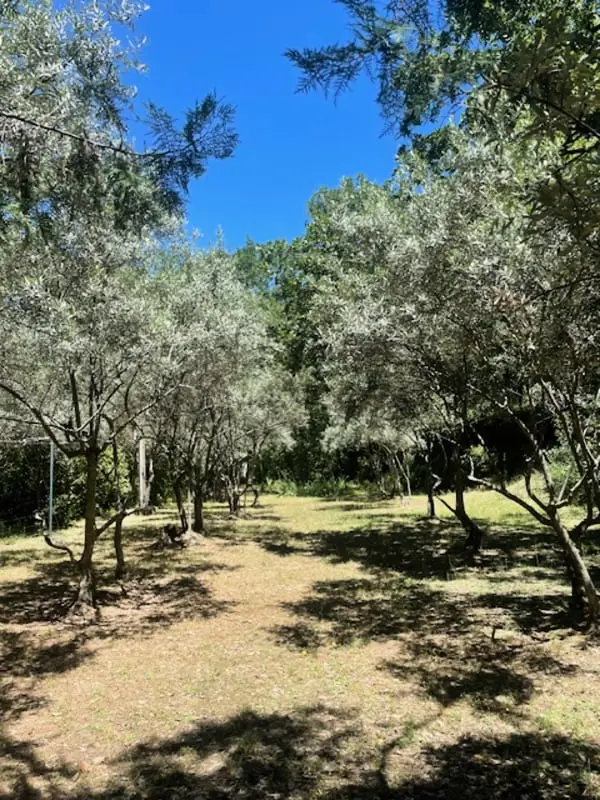 Kivételes tulajdon Au Coeur Du Luberon