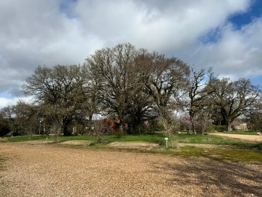 Camping LE ROC 3 Stars★★★