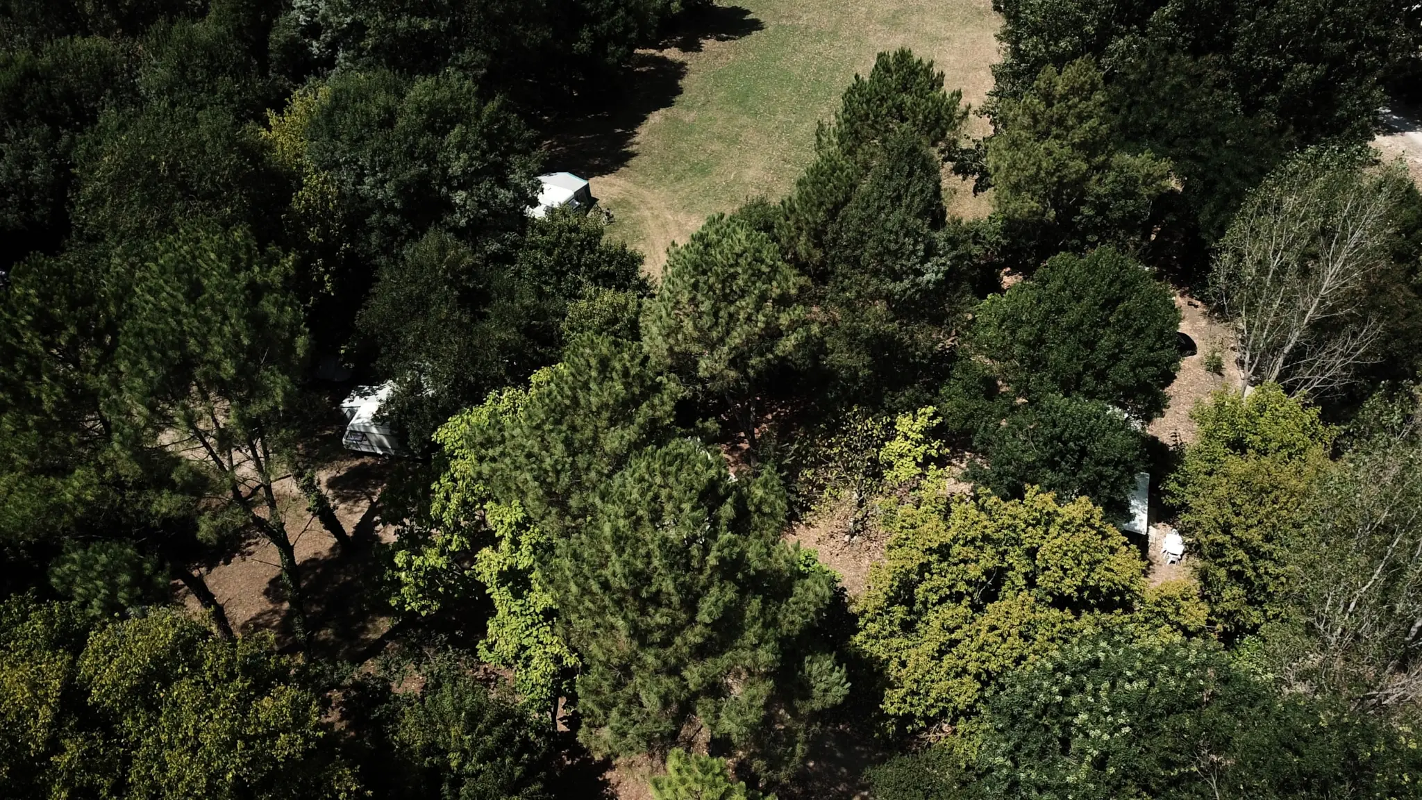 Campsite Universal *** - 2