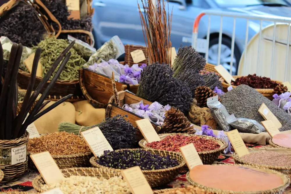 Camping Universal 4 Sterne★★★★