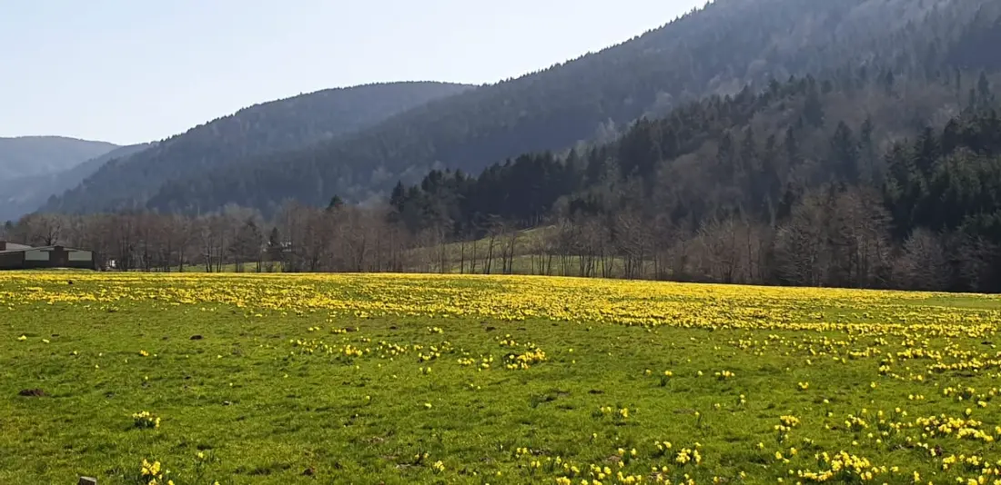 Gyönyörű Chalet Les Noisetiers