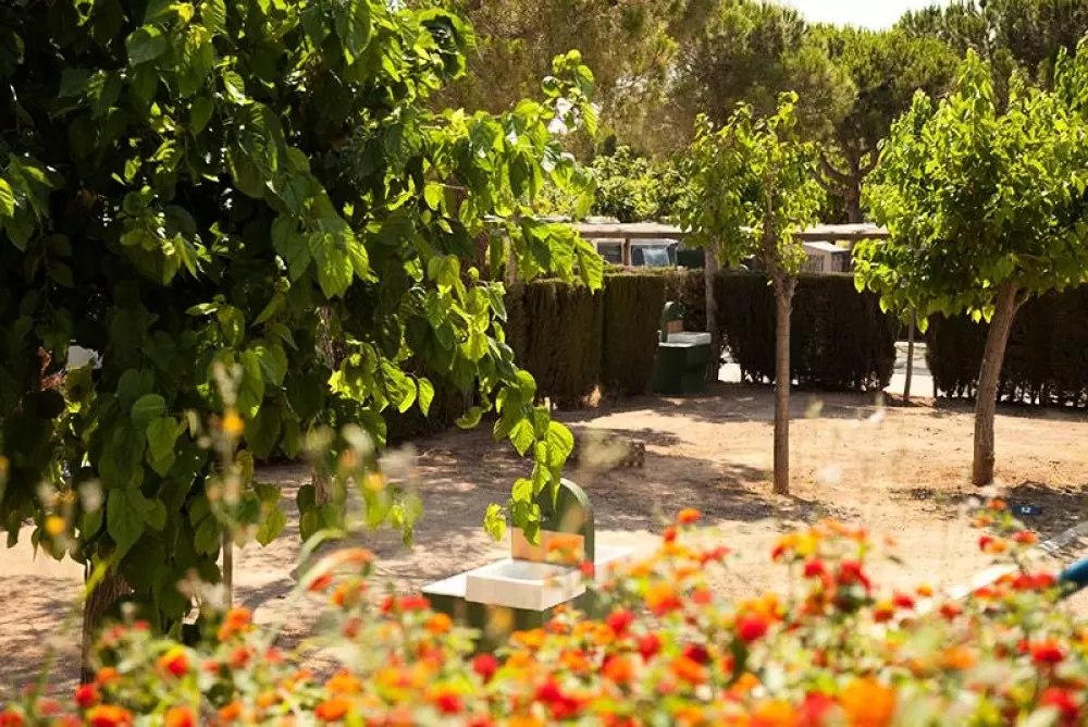 Stel Camping & Bungalow Resort 4 Stars★★★★