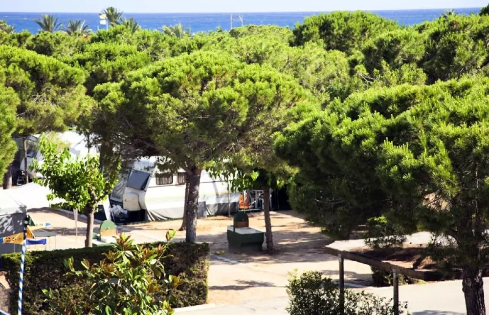 Stel Camping & Bungalow Resort 4 Stars★★★★