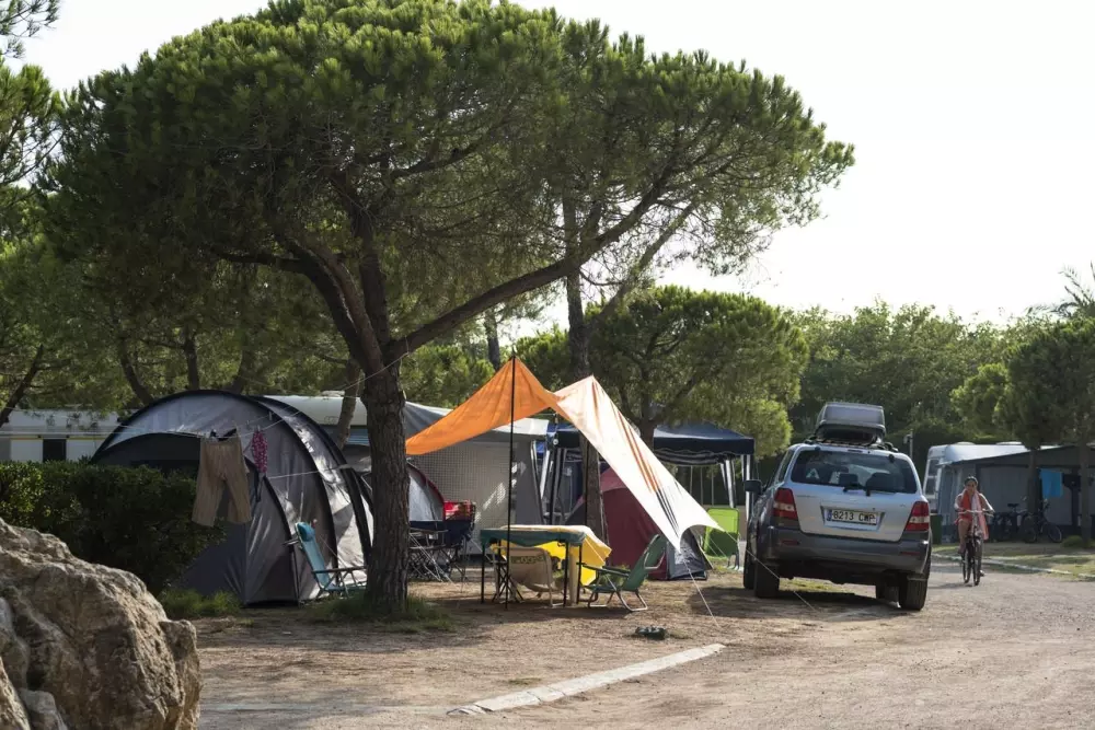 Stel Camping & Bungalow Resort 4 Stars★★★★