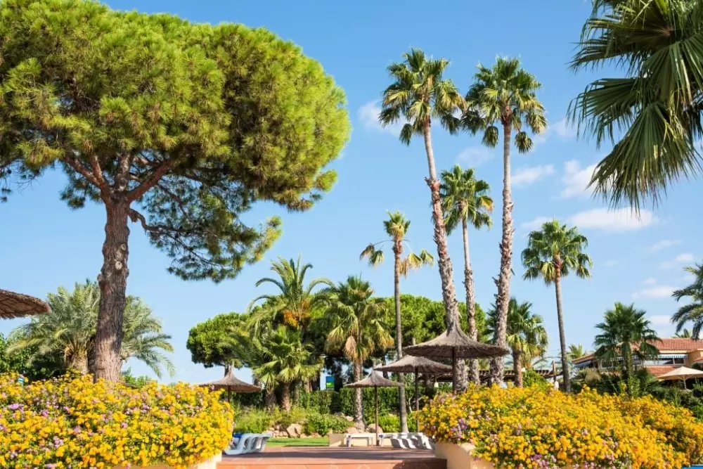 Stel Camping & Bungalow Resort 4 Stars★★★★