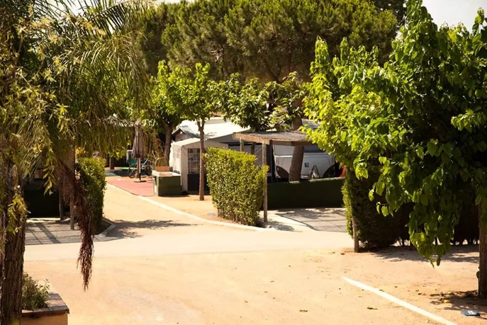 Stel Camping & Bungalow Resort 4 Stars★★★★