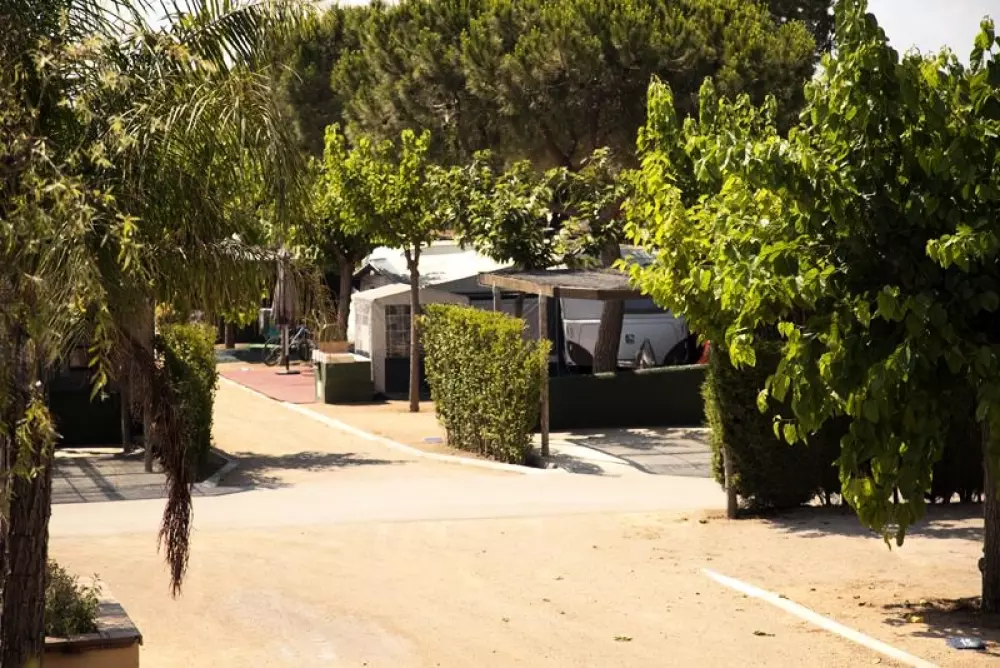 Stel Camping & Bungalow Resort 4 Stars★★★★