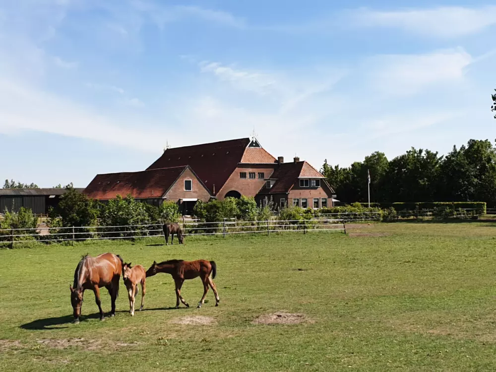 Kemping Eefting (Vodatent)