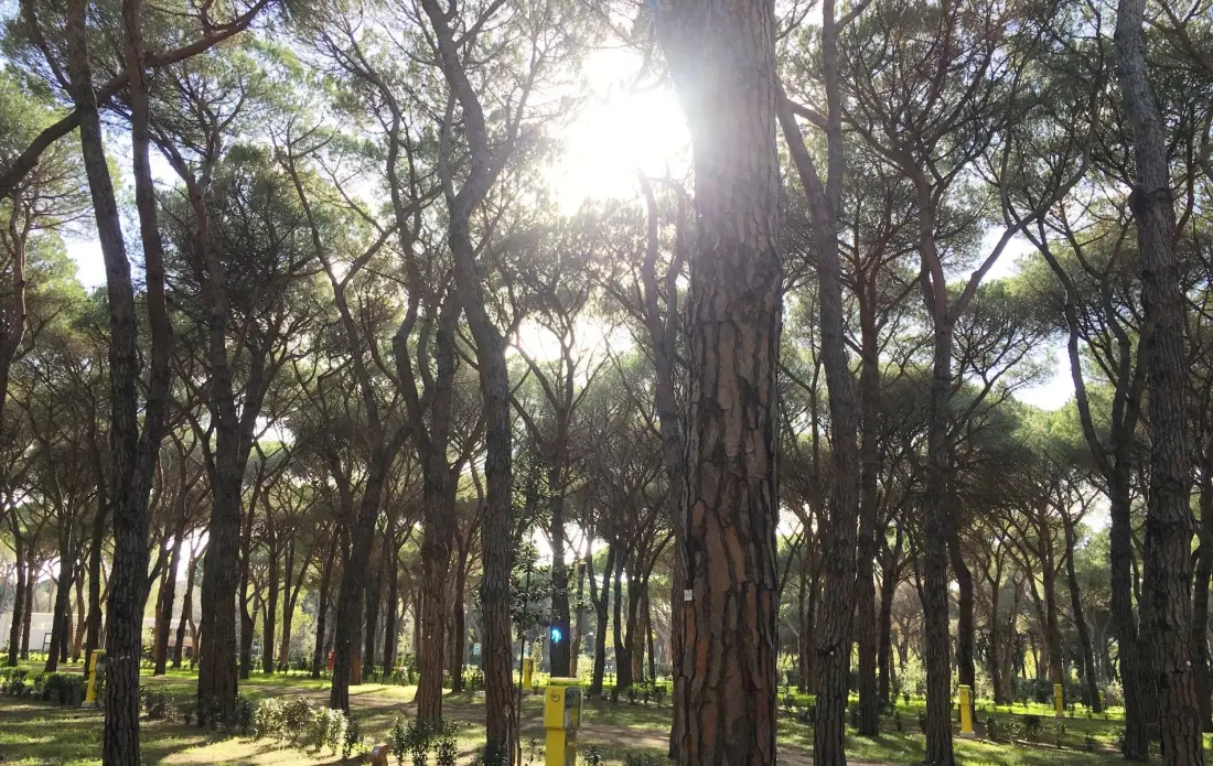 Camping Village Roma Capitol4 Sterren★★★★