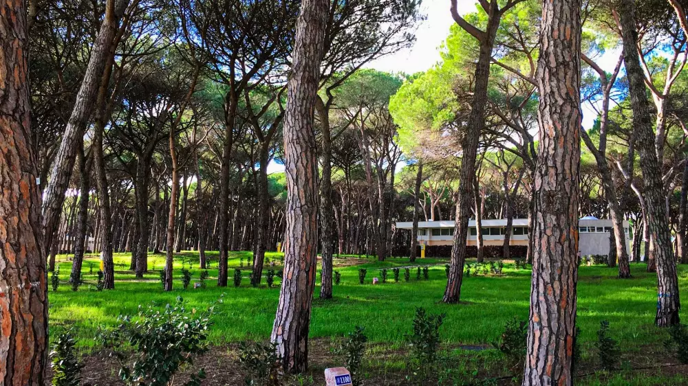 Vacaciones de Baia Roma Capitol 4 Estrellas★★★★