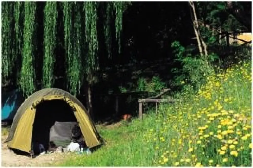 Happy Village & Camping 3 Gwiazdy★★★