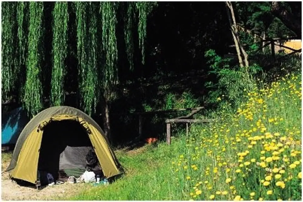 Happy Village & Camping 3 Gwiazdy★★★