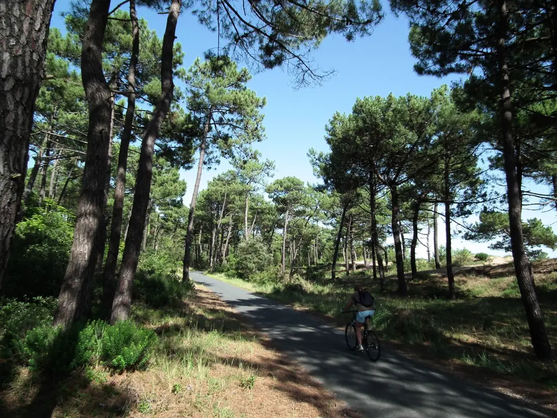Rdc tartózkodási jog