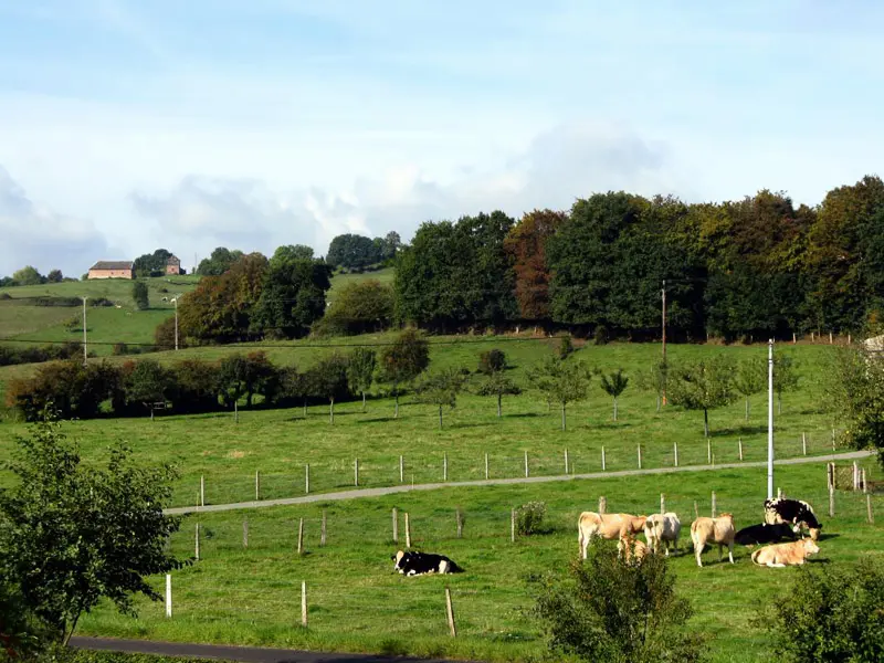 Gîte de France Gîtes de france® - le lindenul 3 fül