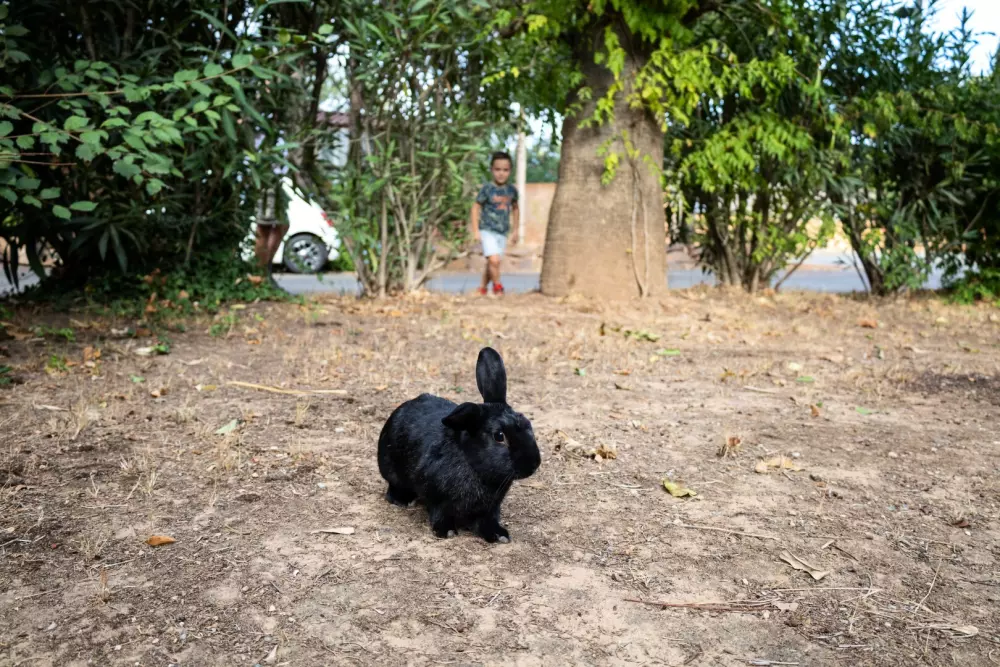 Campingplatz Les Pêcheurs 4 Sterne★★★★