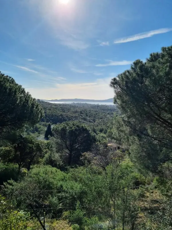 Cosy Studio With Pool And Beach Accessible by Foot
