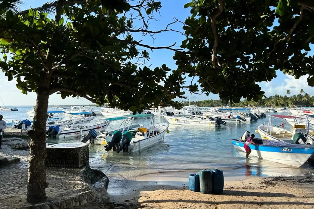 Cosy Studio With Pool And Beach Accessible by Foot