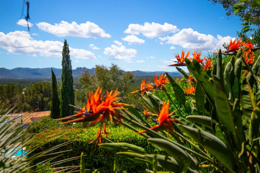 Villa 10 Pers Private medence Saint-tropez közelében
