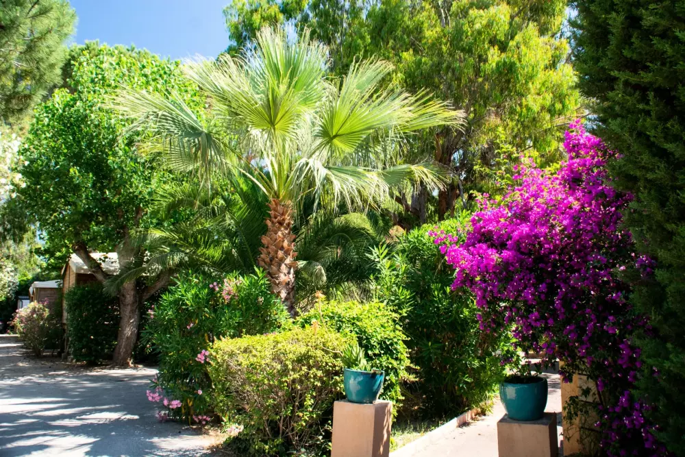 Campingplatz Les Pêcheurs 4 Sterne★★★★