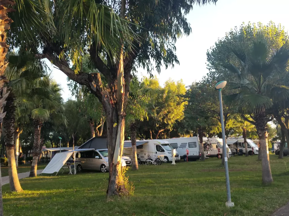 Club del Sole Roseto degli Abruzzi Easy Camping Village 3 Sterne★★★
