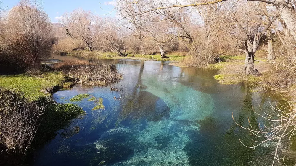 Club del Sole Roseto degli Abruzzi Easy Camping Village 3 Sterne★★★