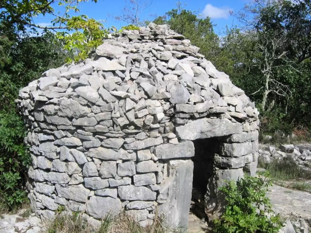 ZAMKNIĘTE HORTENZJE