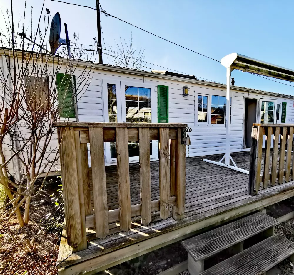 ZAMKNIĘTE HORTENZJE