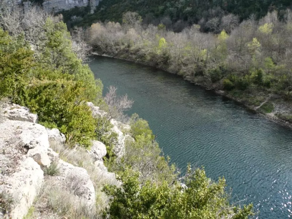 ZAMKNIĘTE HORTENZJE