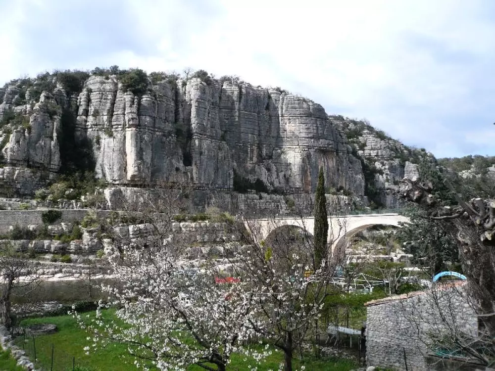 ZAMKNIĘTE HORTENZJE