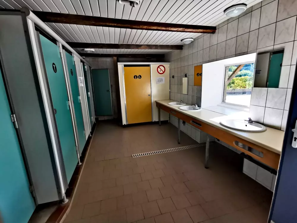 ZAMKNIĘTE HORTENZJE