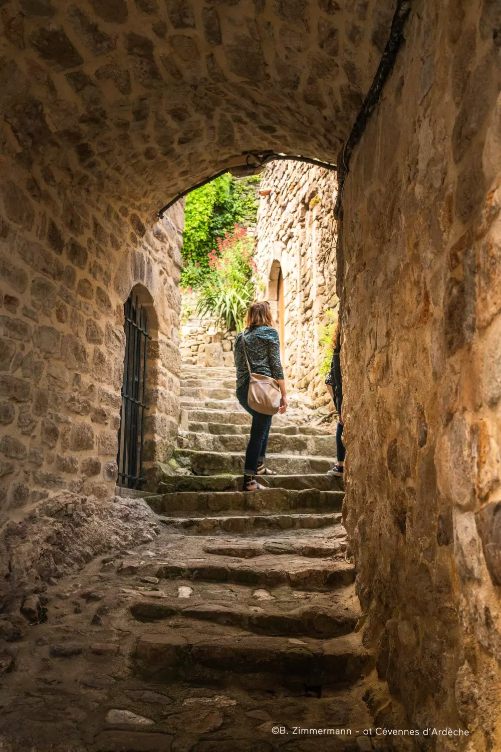 ZAMKNIĘTE HORTENZJE