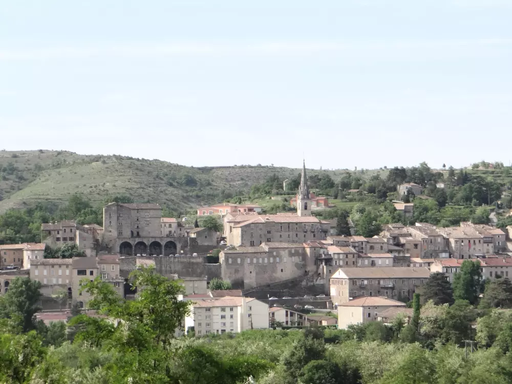 ZAMKNIĘTE HORTENZJE