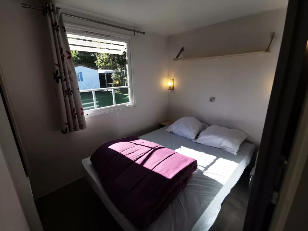 ZAMKNIĘTE HORTENZJE