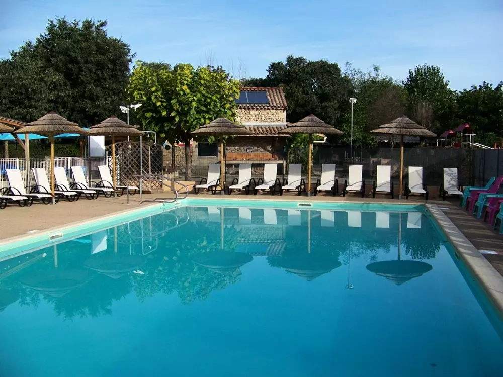 ZAMKNIĘTE HORTENZJE