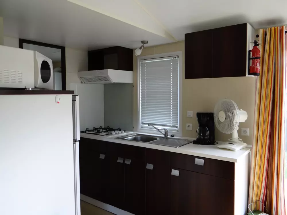 ZAMKNIĘTE HORTENZJE