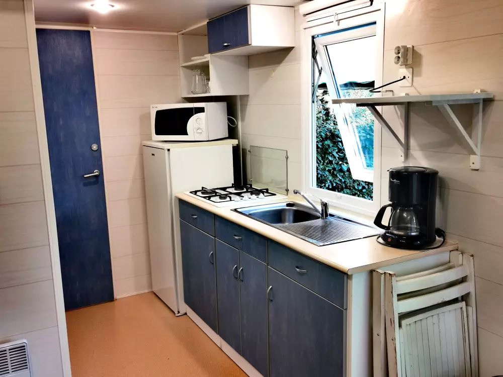 ZAMKNIĘTE HORTENZJE