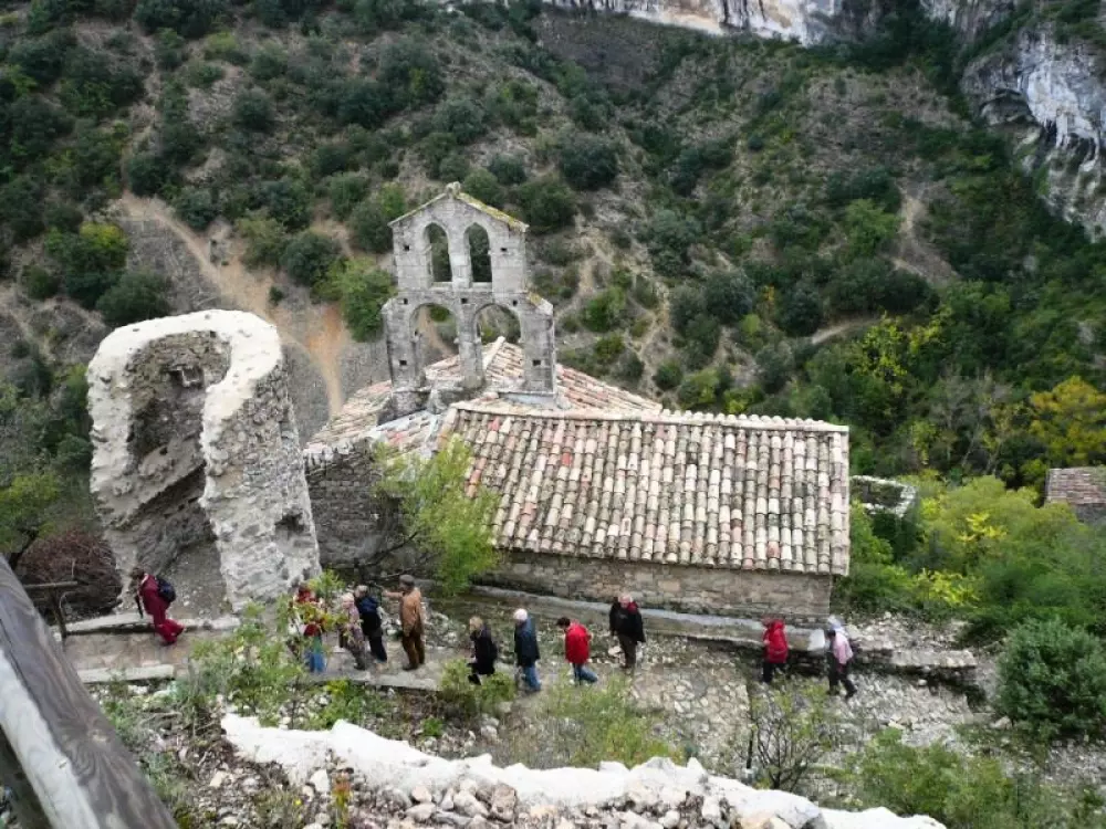 ZAMKNIĘTE HORTENZJE